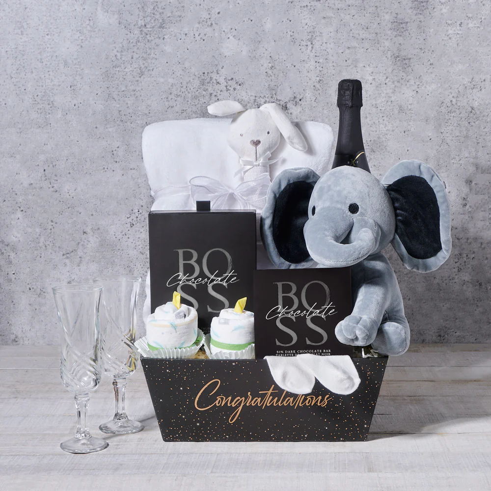 A Warm Welcome Baby Gift Basket