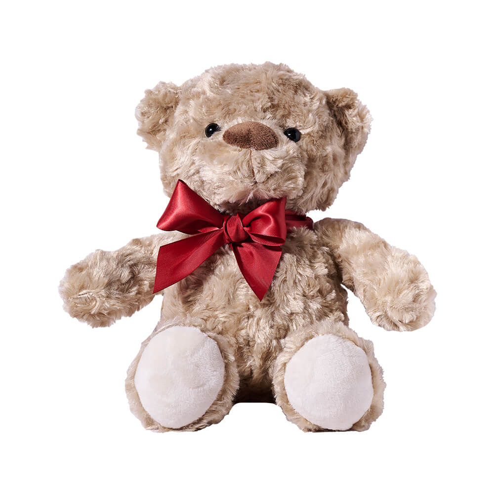 The Canada Day Teddy Bear